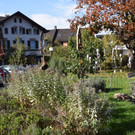 DSC_0002.JPG