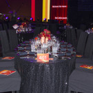 Ronald McDonald Kinderhilfe Gala 2017  _12 von 331_.jpg