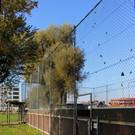 Fu__ball K__FIG am See VANDALISMUS OKT 2017 _11_.JPG