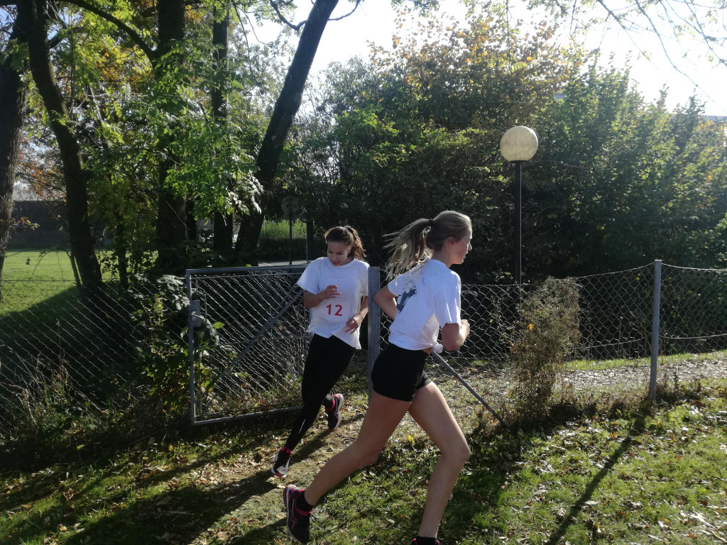 IMG_20171018_150818.jpg