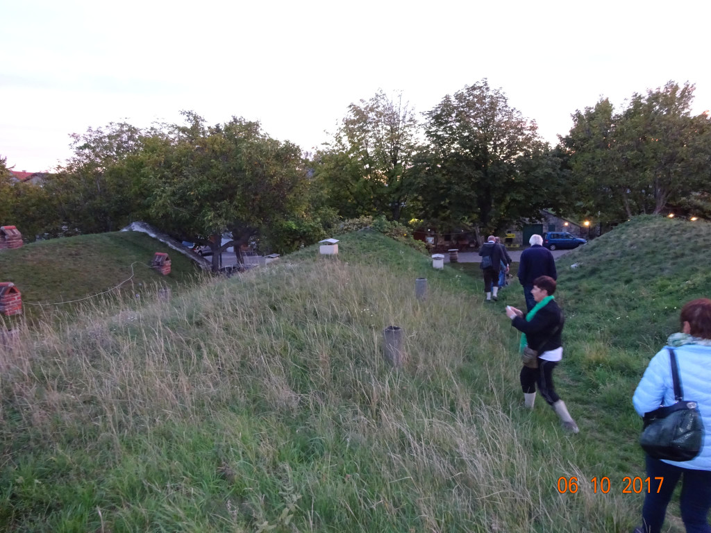 DSC02222.JPG