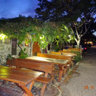 DSC02241.JPG