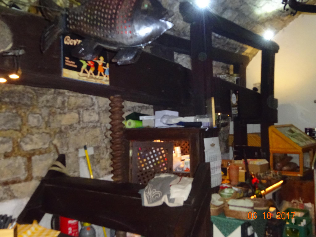 DSC02244.JPG