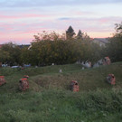 IMG_9506.JPG