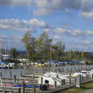 IMG_9541.JPG
