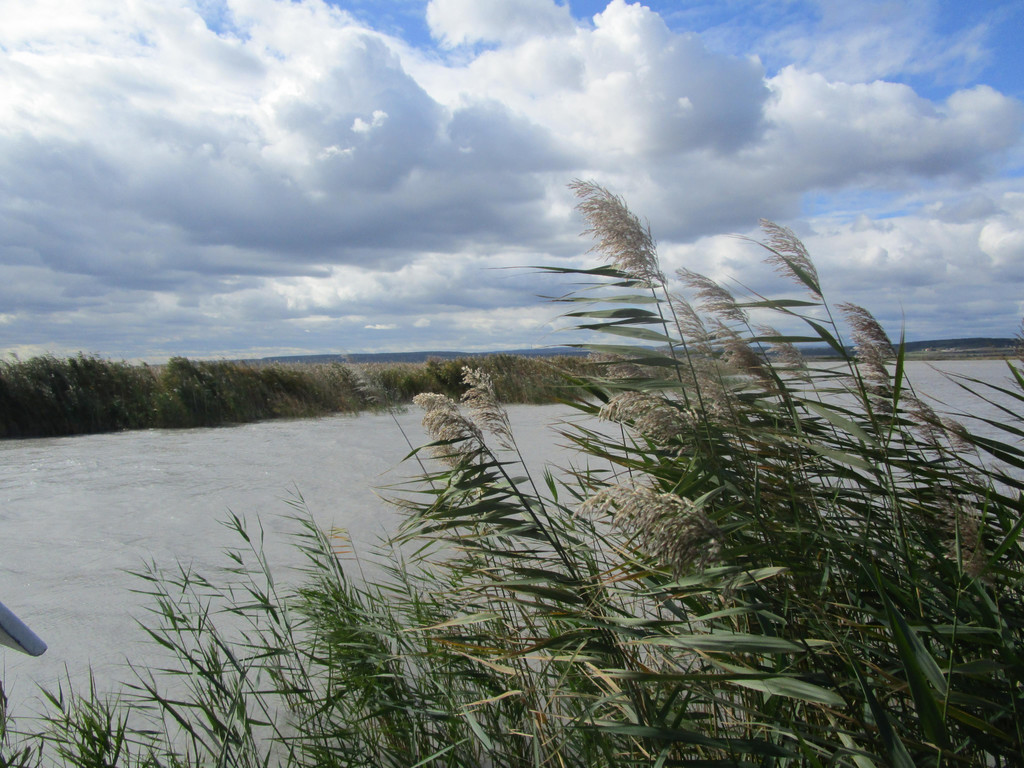 IMG_9584.JPG