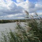 IMG_9584.JPG