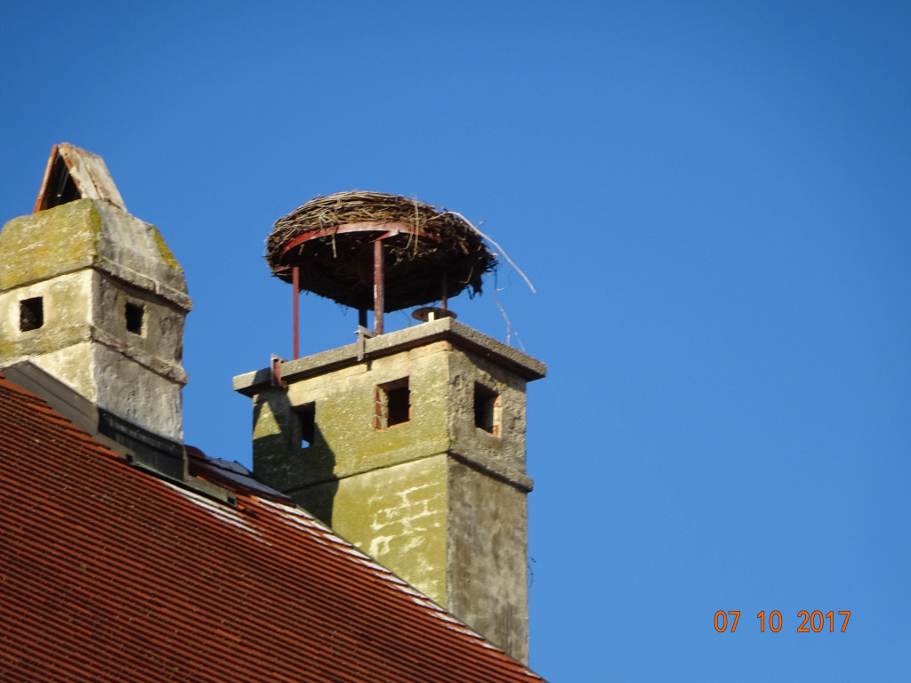 DSC02345.JPG