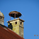 DSC02345.JPG