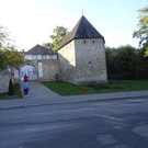 DSC00775.JPG