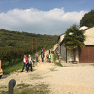 Jahrgang 1952 Ausflug VENETO Foto Grote 10-10-2017 _49_.JPG