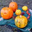Bildschirmfoto 2017-10-22 um 23_49_20.png