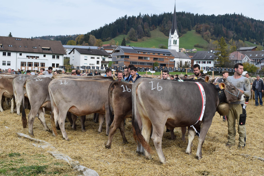 DSC_0899.JPG