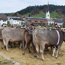 DSC_0899.JPG