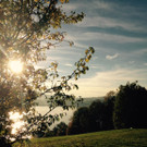 image1.JPG