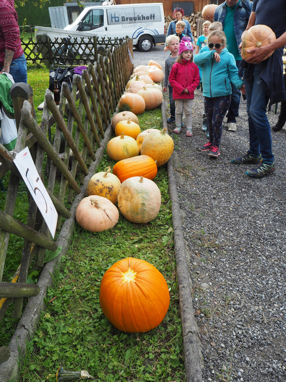 PA214904.JPG