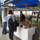 PA214868.JPG