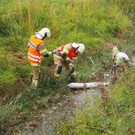 PA215002.JPG