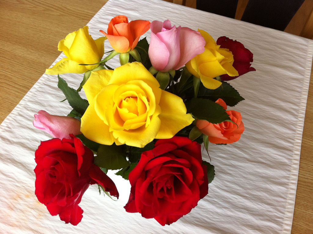 blumen2.JPG