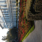 20171019_165851.jpg