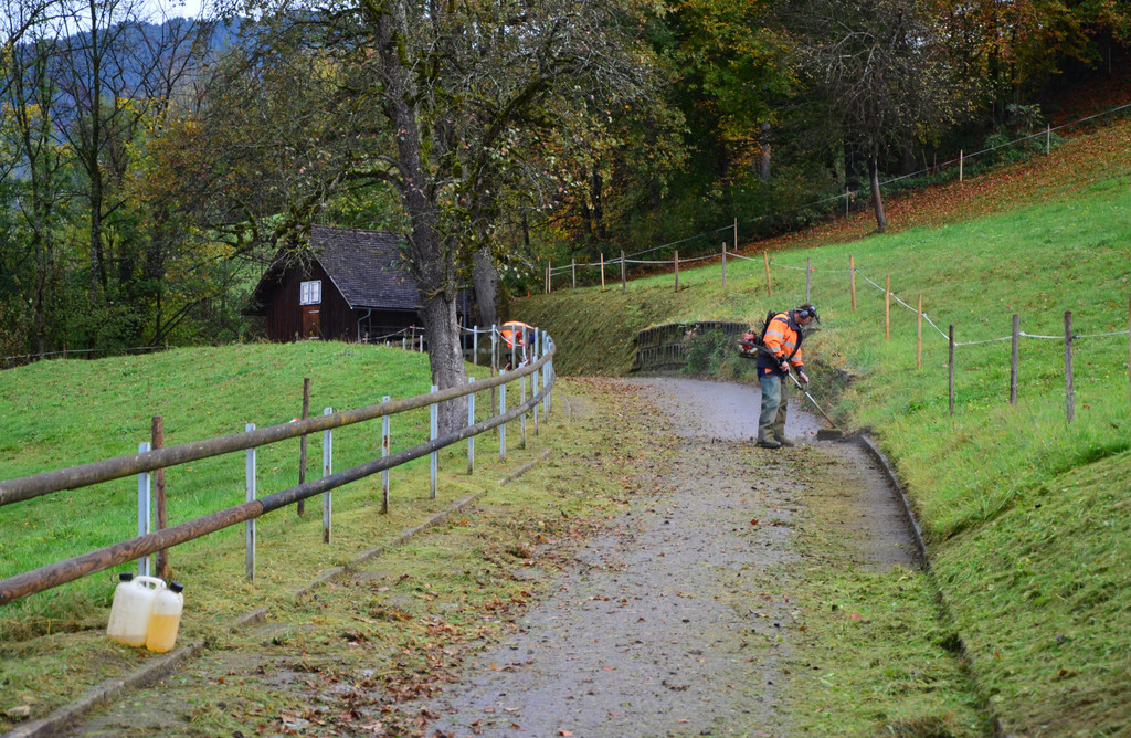 Gemeinde 241017_3.JPG