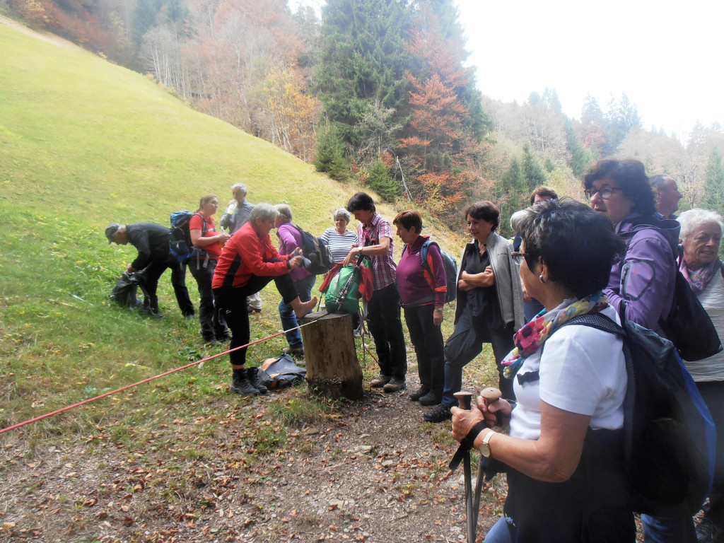 PA210197.JPG