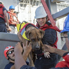 Hawaii_Mariners_Rescued_42754.jpg