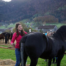 Ziegenpferde 25.jpg