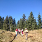 IMG_3760.JPG