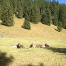 IMG_3764.JPG