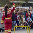 Oesterreichischer Nationalfeiertag 2017 - Wien - 26_10_2017 _228 von 237_.jpg
