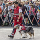 Oesterreichischer Nationalfeiertag 2017 - Wien - 26_10_2017 _232 von 237_.jpg