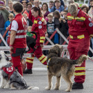 Oesterreichischer Nationalfeiertag 2017 - Wien - 26_10_2017 _234 von 237_.jpg