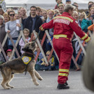 Oesterreichischer Nationalfeiertag 2017 - Wien - 26_10_2017 _235 von 237_.jpg