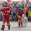 Oesterreichischer Nationalfeiertag 2017 - Wien - 26_10_2017 _238 von 237_.jpg