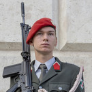 Oesterreichischer Nationalfeiertag 2017 - Wien - 26_10_2017 _86 von 237_.jpg