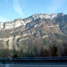 Herbstexkursion2017-10-20_08-56-52.jpg