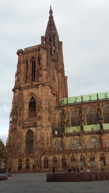 Herbstexkursion2017-10-21_09-29-45.jpg