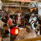 20171027_fmt_krampusmaskenausstellung_hallein_mw-4.jpg