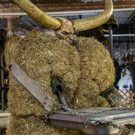 20171027_fmt_krampusmaskenausstellung_hallein_mw-37.jpg