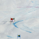 Austria_Alpine_Skiing_World_Cup_64395.jpg