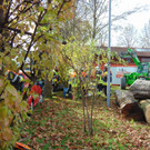 DSC05146.JPG