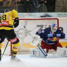 GEPA_full_7198_GEPA-28101763113.jpg