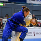 file6xbc828qf0jijc1xeud.jpg