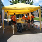 IMG_4462.JPG