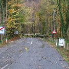 20171029fmt_sturmschaeden_ta_011.JPG