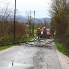 20171029fmt_sturmschaeden_ta_013.JPG
