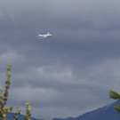 20171029fmt_sturmschaeden_ta_015.JPG
