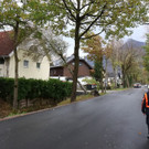 20171029fmt_sturmschaeden_ta_017.JPG