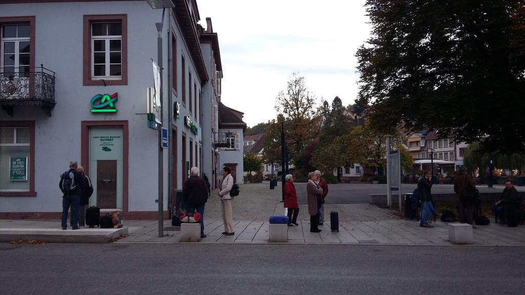 Herbstexkursion2017-10-21_08-11-16.jpg